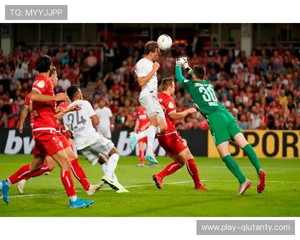 德甲比赛中断：球迷闯入球场事件处理